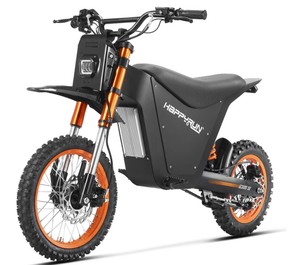 Venta de Motocicletas Deportivas Eléctricas Mini G300 SE 2026 Disponibles para la Venta y Listas para Exportar - Product Image 2