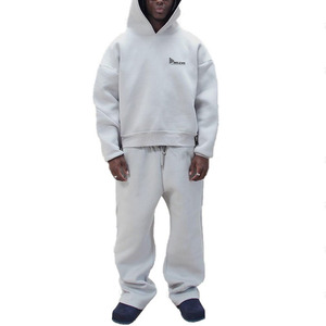 Nueva Sudadera con Capucha Lisa para Hombre, al por Mayor, Transpirable, 430GSM, 100% Algodón, Ecológica, Diseño Personalizado, Impresión, Precio Bajo - Product Image 1