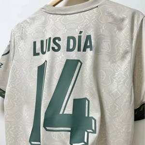 Camiseta de Fútbol del Bayern de Múnich al por Mayor, Versión Jugador para Aficionados, Campeones del Mundo de Alemania, Temporada 25-26, Personalizable - Product Image 1