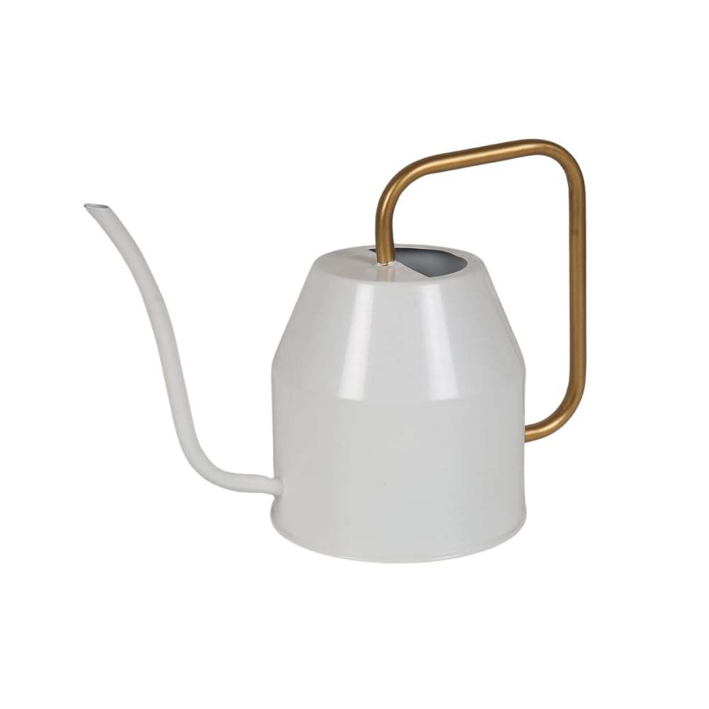 Glossy White with Golden Handle