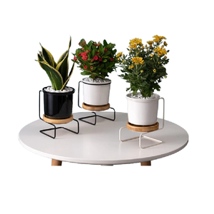 Macetas Decorativas para el Hogar Más Vendidas, Hechas de Hierro, Macetero de Metal con Soporte, Macetas Decorativas para Interiores y Exteriores a Precio de Mayoreo - Product Image 1