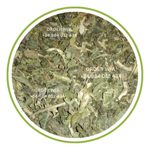 MEILLEUR VENDEUR NON-GMO FEUILLES DE PAPAYE SÉCHÉES FEUILLES DE PAPAYE BIOLOGIQUES DU VIETNAM - Product Image 2