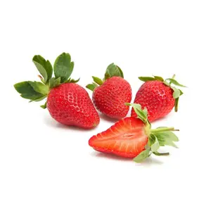 शीर्ष ग्रेड स्ट्रॉबेरी ताजा फल उच्च गुणवत्ता 100% सबसे अच्छा बेच ताजा स्ट्रॉबेरी फल सस्ते मूल्य पर