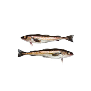 Đông lạnh <span class=keywords><strong>Alaska</strong></span> <span class=keywords><strong>Pollock</strong></span> bán buôn số lượng lớn cung cấp cao cấp Hải sản xuất khẩu - Product Image 3