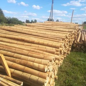 Wholesale <b>Bamboo</b> Cane Pole Stakes Best Selling Natural Pole Stake Garden Agriculture Farming Products - Product Image 6