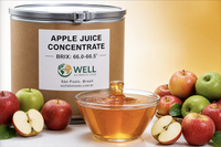 WELL ALIMENTS Braziliaans sinaasappelsapconcentraat - Versgeperst, diepvries, 66 Brix, Sao Paulo oorsprong, 100% puur, 24 maanden houdbaarheid