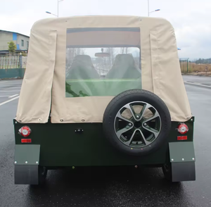 READY SHIP Verified Gas/Petrol Sightseeing Utility Vehicle 4-6 Seats Open Body Left Steering Turbo Leather Seats R19 Ready <b>Drive</b> - Product Image 2