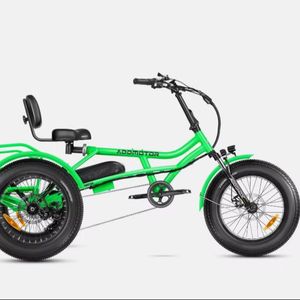 Venta de triciclos eléctricos Addmotor de 3 ruedas, 750W, 20Ah, con llantas gruesas, disponibles para la venta y listos para exportar. - Product Image 1