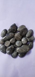 Coral Fossilizado Negro Natural de Primera Calidad, en Diversas Formas, para Joyería, Gemas Alba, Buen Precio - Product Image 3