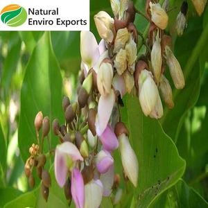 Engrais de Karanja pur et biologique à haute teneur en NPK 5:3:1, utilisé pour l'agriculture, fabriqué en Inde - Product Image 6