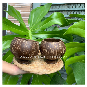 Top Seller 2025 100% Natural logotipo personalizado cuenco de cáscara de coco pulido/taza y cuenco de cuchara de coco Coco para bebé - Product Image 2