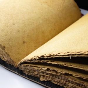 Journal en cuir gaufré fait à la main Old Raven pour TTRPG DnD Tabletop Roleplaying Artbook Aquarelle Grimoire Spiral Bound Logbook - Product Image 6