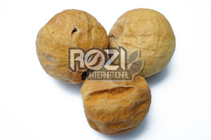 สมุนไพร colocynth/citrullus colocynthนี้/TUMA - Product Image 2