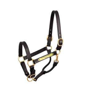 Premium 1 "cuir spectacle licou avec plaque intelligente - Product Image 4