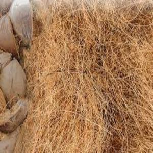 Fibre de noix de coco naturelle de haute qualité pour matelas brosses cordes tapis de culture paillis fibre de coco vente en gros de l'Inde - Product Image 4