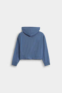 เสื้อฮู้ดดี้สีน้ำเงินเทรนดี้ทรงโออีเอ็ม หนานุ่ม พิมพ์ลาย ซิปหน้า ผ้าฝ้าย 100% มีกระเป๋าหน้า สไตล์สตรีทแวร์ แฟชั่น - Product Image 5