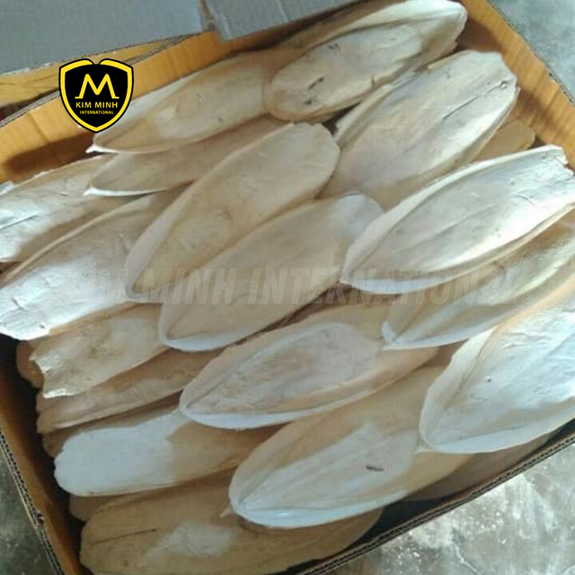 WHOLESALE DRIED CUTTLEFISH BONE | Various Sizes, High Quality, From Vietnam