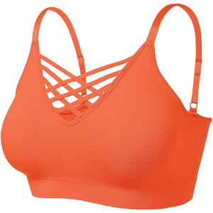High quality Fitness Yoga Bra for Gym Tops Outdoor Sports Quick Dry Bra , Woman Gym Wear - Product Image 3