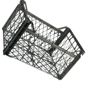 DPK34: Caisses à concombre en plastique - Product Image 3