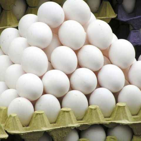 DISCOUNT PRICE FRESH CHICKEN EGGS for SALE