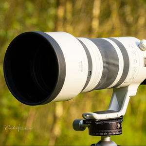 Nuevo objetivo RF 100-300mm f/2.8 L IS U/SM - Product Image 1