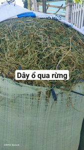 Tranches de gourde amère séchées au Vietnam de qualité supérieure séchées au soleil commande en gros prix d'usine fournisseur OEM - Product Image 6