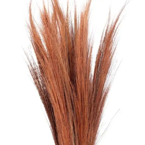 Good Quality Natural Dried Broom Grass Interior Decorative Grass For Wedding Decoration Dried Flowers