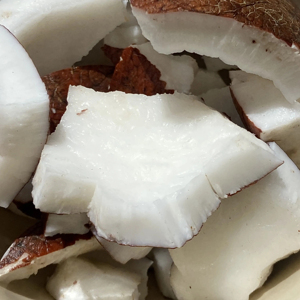 Carne de coco exportada de alta calidad - Product Image 1