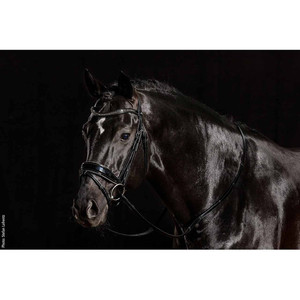Brides de cheval de haute qualité en cuir allemand avec couture fantaisie Services OEM disponibles - Product Image 6
