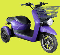Moto Scooter Électrique Sportif à Trois Roues 4000W, Vitesse Max 40-60km/h, Autonomie 134KM, 72V - Nouveauté Turquie, Meilleures Ventes