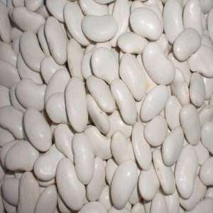 Haricots blancs | haricots mungo verts | Haricots blancs en vrac secs 1kgs à 25kgs 50kgs sacs - Product Image 6