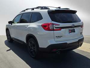 Usado cuidadosamente 2023 Ascent Onyx Edition Limited Manual bastante usado - Product Image 4