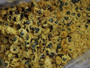 ดอกเดซี่คาโมมายล์คุณภาพสูงผสมกลิ่นหอมงานฝีมือสร้างสรรค์การตกแต่งงานเหมาะสำหรับผู้นำเข้าต่างประเทศ - Product Image 6