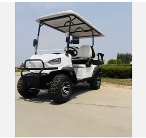 AUTOPARK 8 Asientos Coche Eléctrico Potente todoterreno Club Car Golf Buggy Cart - Product Image 2