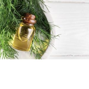 100% aceite esencial Anethi Natural puro precio al por mayor extracto de hierbas líquidas semillas cultivadas silvestres botellas a granel contenedor de vidrio - Product Image 3