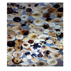 Véritable Bouton en corne de buffle de fabricant indien de meilleure qualité Bouton en corne naturelle écologique de couleur noire pour vêtements. - Product Image 6