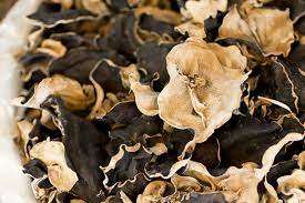 Setas de gelatina 100% naturales, comida verde salvaje, seta de madera - Product Image 6