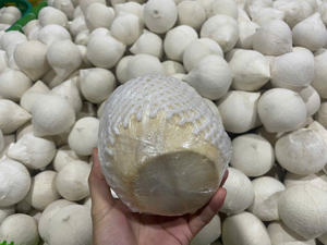 Coco verde fresco joven para exportación-Agua de coco dulce natural y pulpa blanda-Proveedor mayorista de Vietnam - Product Image 3