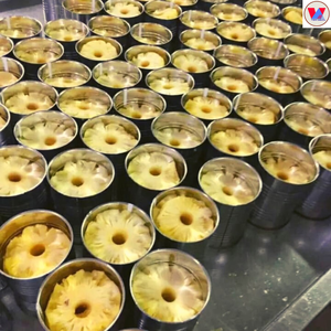 DELICIOUS QUALITY CANNED <b>PINEAPPLE</b> WITH CHEAP PRICE / Ms. Lucinda - Product Image 4