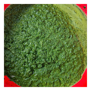 Frozen <b>Cassava</b> Leaf for Sale Pure <b>Fresh</b> Flavorful Leaves Ideal for Traditional African Soups and Healthy Vibrant Nutritious Meal - Product Image 6