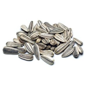 เมล็ดทานตะวันออร์แกนิกเกรดสูงสำหรับการบริโภคของมนุษย์ - Product Image 3