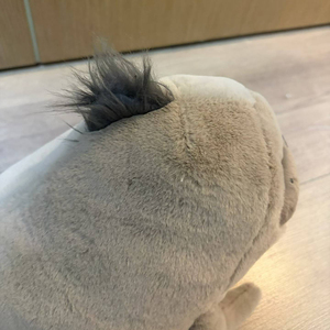 Peluche JellyCat Roarwell Leone Marino, Giocattolo Super Morbido in Cotone PP, Regalo SEA2LN - Product Image 4