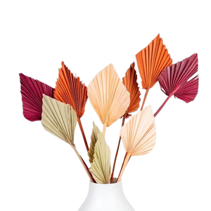 Hojas de Palma Lanza Hojas de Palma naturales Palma Lanza Día DE LA MADRE Día de San Valentín Navidad Gracias Regalos por cada vez - Product Image 4