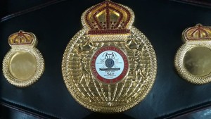 Custom Boxing Championship <b>Belt</b> With <b>Red</b> Leather Strap And Gold Plated Plate - Product Image 4