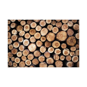 Fourniture en vrac de bois de chauffage de teck offert à prix d'usine compétitif - Product Image 3