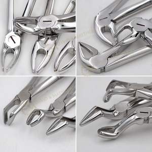 Instrumento Dental profesional para adultos, pinzas de extracción Dental de acero inoxidable, 10 unidades - Product Image 6