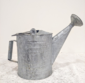 Regadera Superior a prueba de óxido, regadera de jardín de Metal galvanizado, regadera perfecta para jardinería diaria, flores al aire libre - Product Image 1