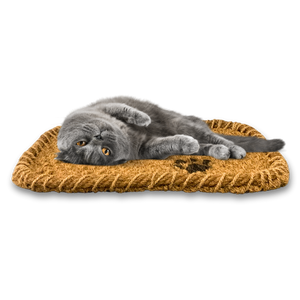 Hot Selling PALM MAT / COIR MAT for PET Vietnam's Finest: Eco-Friendly and Durable Pet Mat - Product Image 1