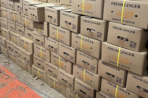 Jengibre fresco seco a granel de buena calidad, precio de mercado por tonelada, jengibre al por mayor, compradores para comprar jengibre seco, Exportación de Vietnam - Product Image 6