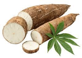 Hojas de yuca molidas congeladas IQF consistencia de molienda fina sin conservantes para suministro de distribución minorista - Product Image 5